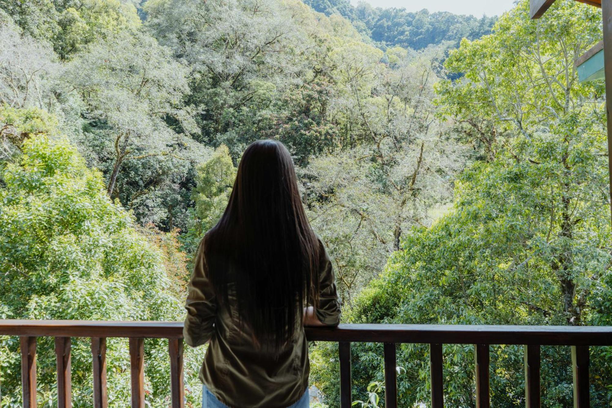 Cabinas El Quetzal San Gerardo de Dota Esterno foto